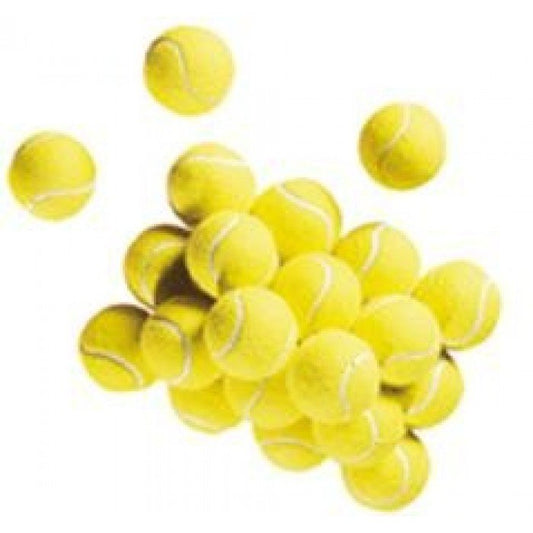 XYZ Dozen Tennis Balls - XYZ Sports